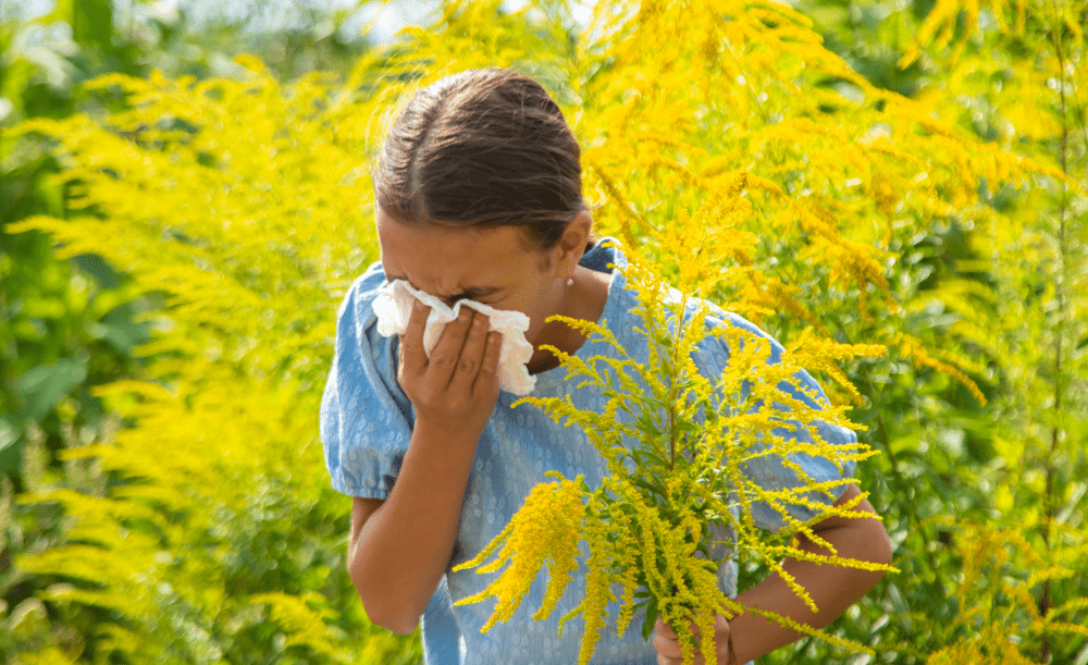 Heuschnupfen & Pollenallergie – Alles, was du wissen musst - Cellavent Healthcare