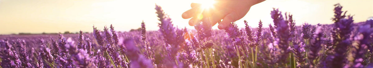kindgesund - Sparpakete - Aroma-Care - Cellavent Healthcare