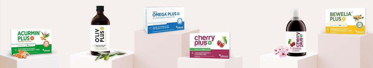 PLUS-Reihe - Cellavent Healthcare