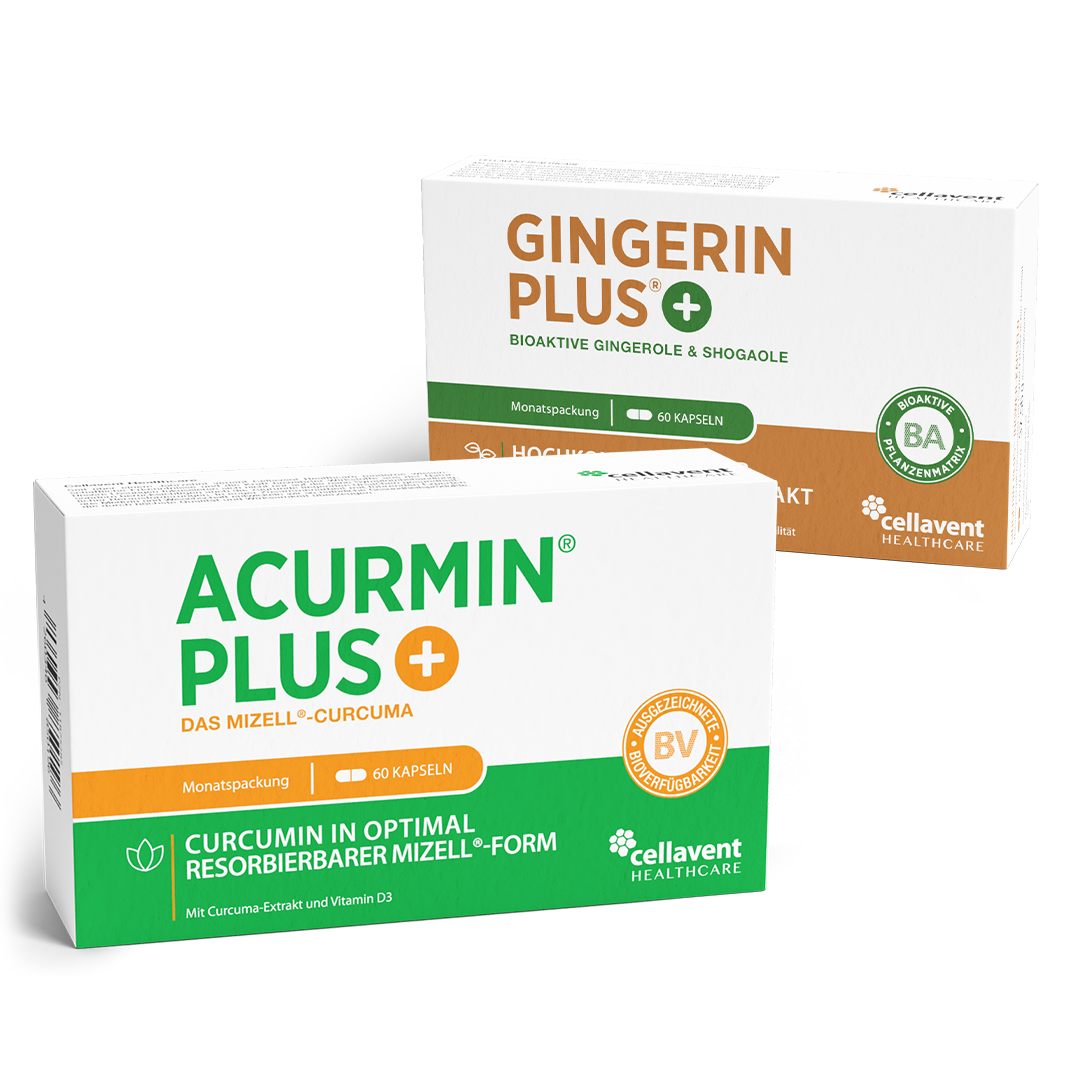 Kurkuma + Ingwer Kapseln · Acurmin & Gingerin PLUS
