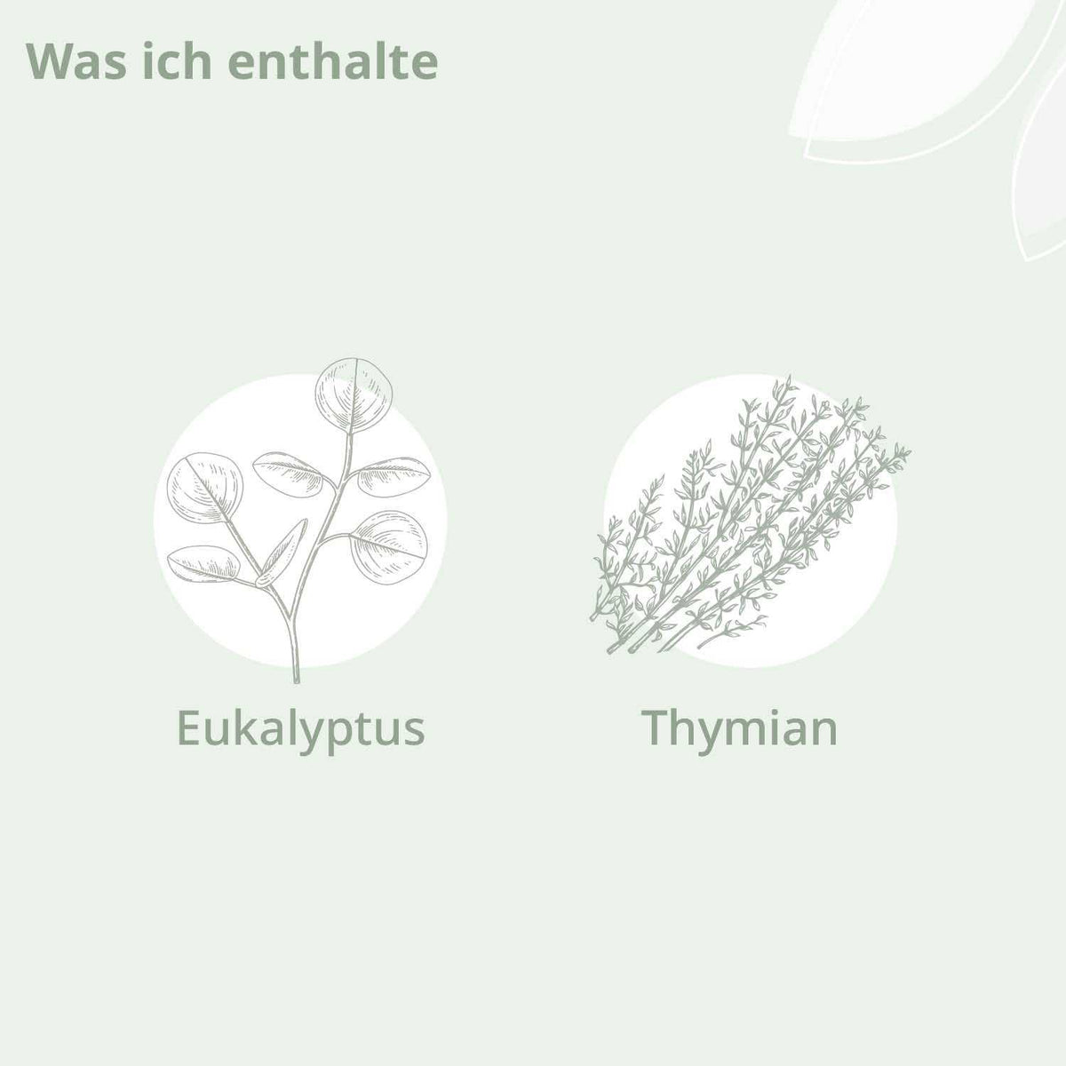 Bio - Atme Wohl Aroma Balsam - Cellavent Healthcare