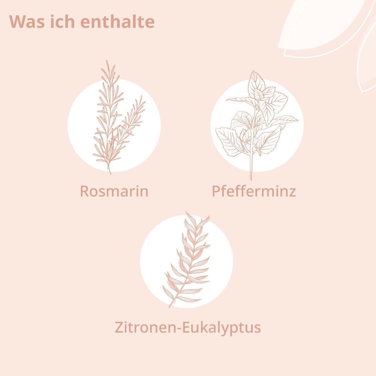 Bio - Lern Wohl Aroma Öl - Cellavent Healthcare