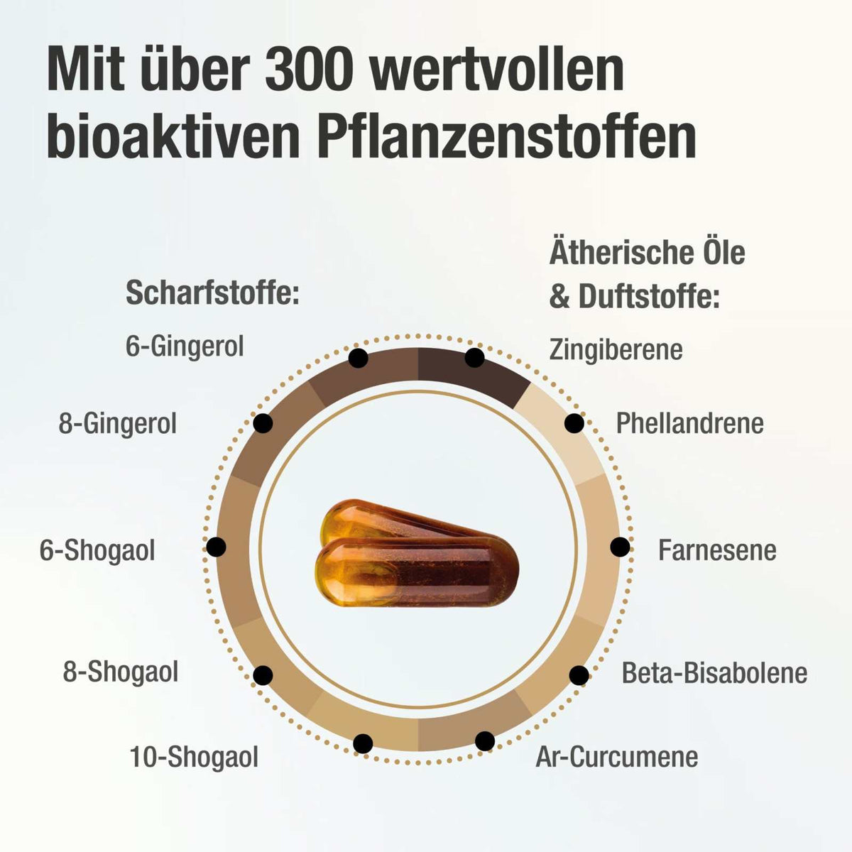Bioaktiver Ingwer - Extrakt - Gingerin PLUS - Cellavent Healthcare