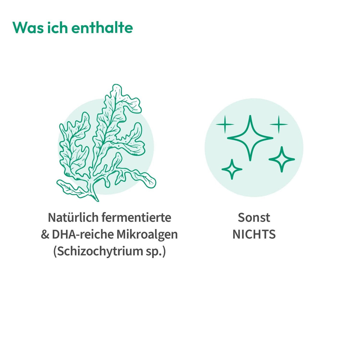 Omega - 3 Algenöl Kinder Tropfen - Cellavent Healthcare
