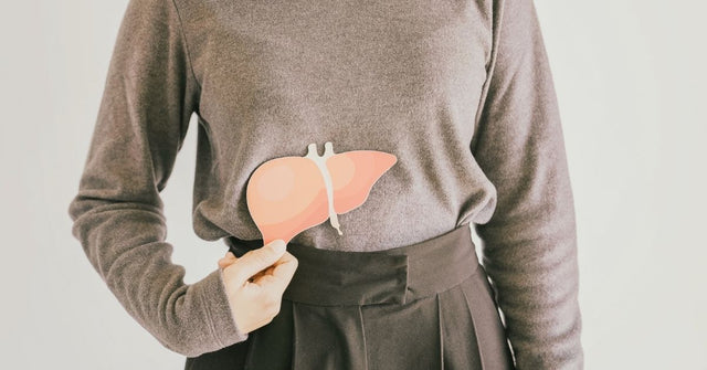 Frau hält eine Leberillustration vor den rechten Oberbauch als Symbol für Lebergesundheit und eine mögliche Fettleber.
