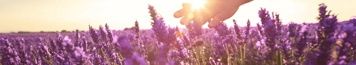 kindgesund - Aromatherapie - Cellavent Healthcare