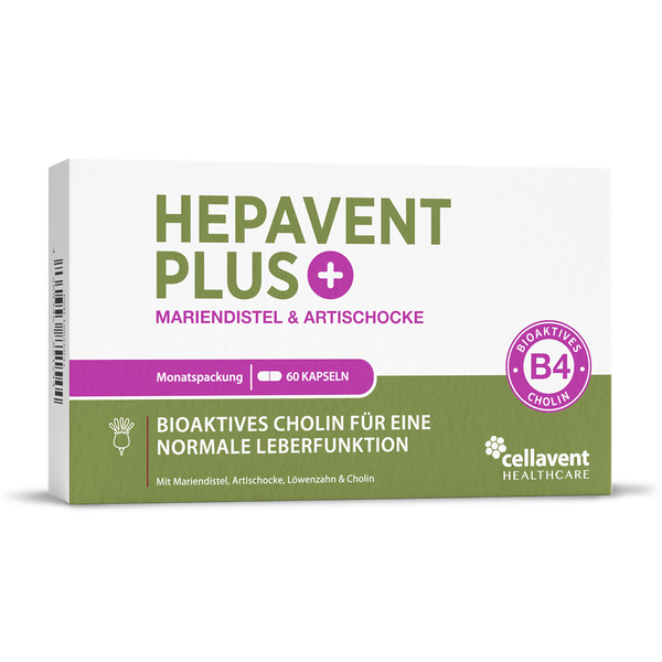 Leberkur Cholin Kapseln Hepavent PLUS mit Mariendistel, Artischocke und Löwenzahn – Produktdose