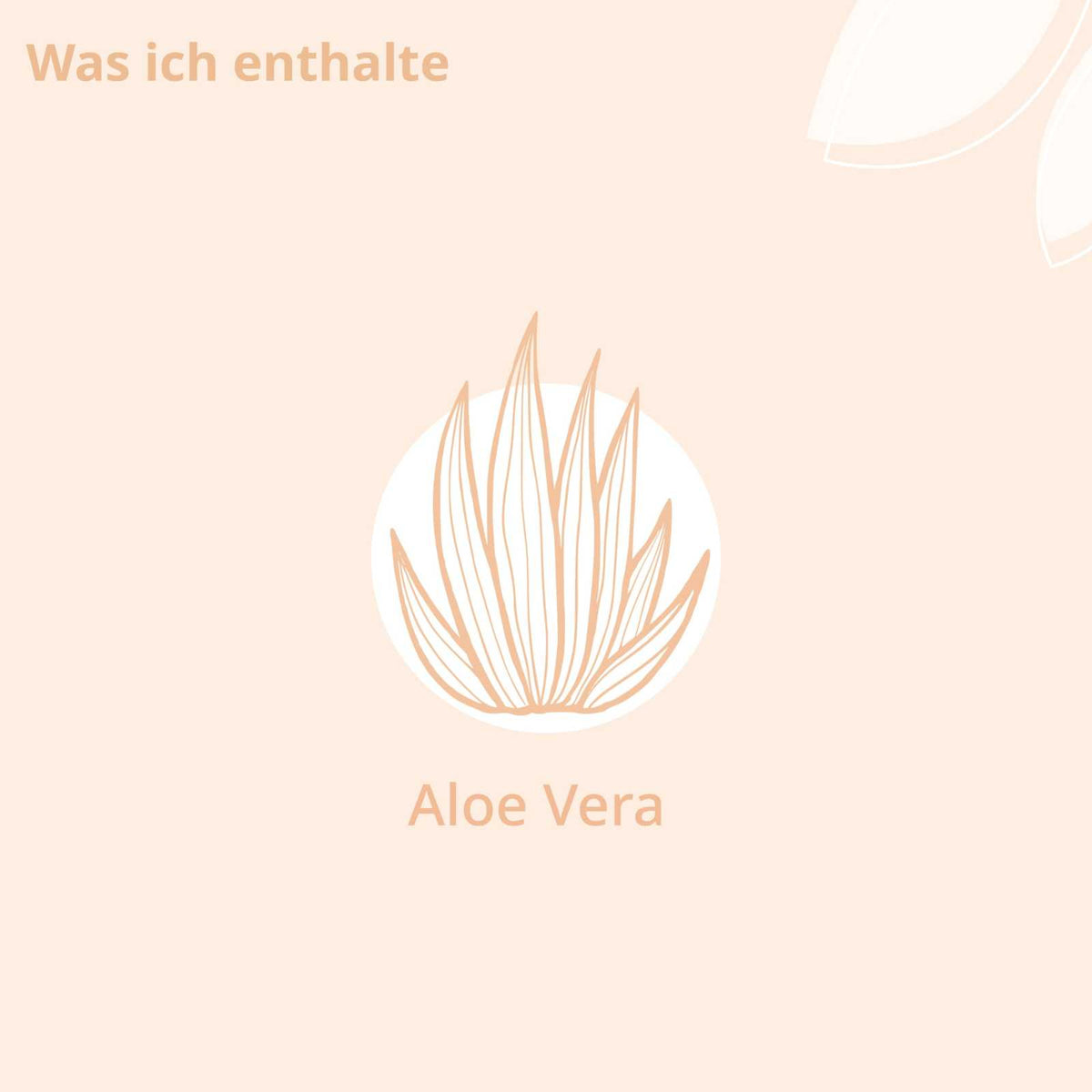 Bio - Aloe Vera Pflegegel - Cellavent Healthcare