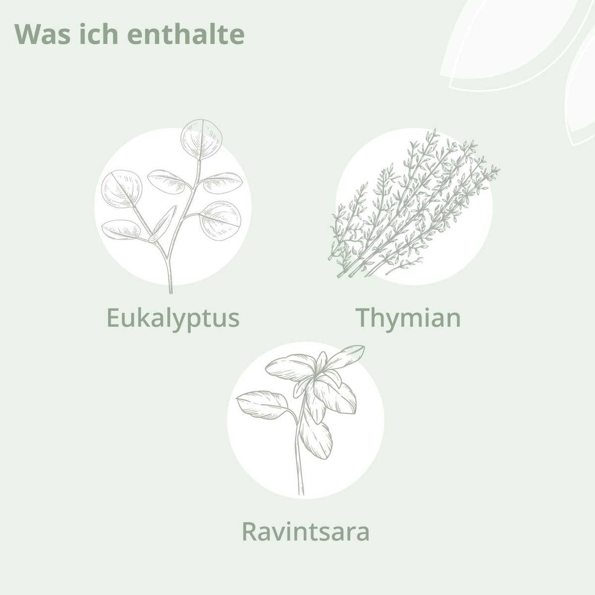 Bio - Atme Wohl Aroma Öl - Cellavent Healthcare