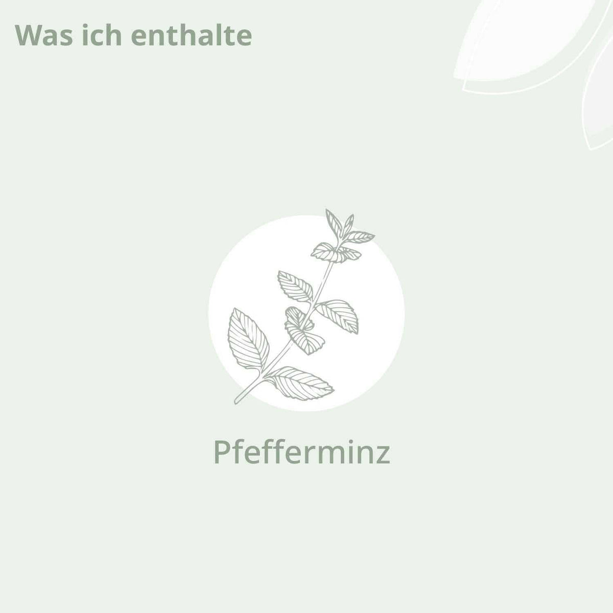 Bio - Atme Wohl Roll - On - Cellavent Healthcare