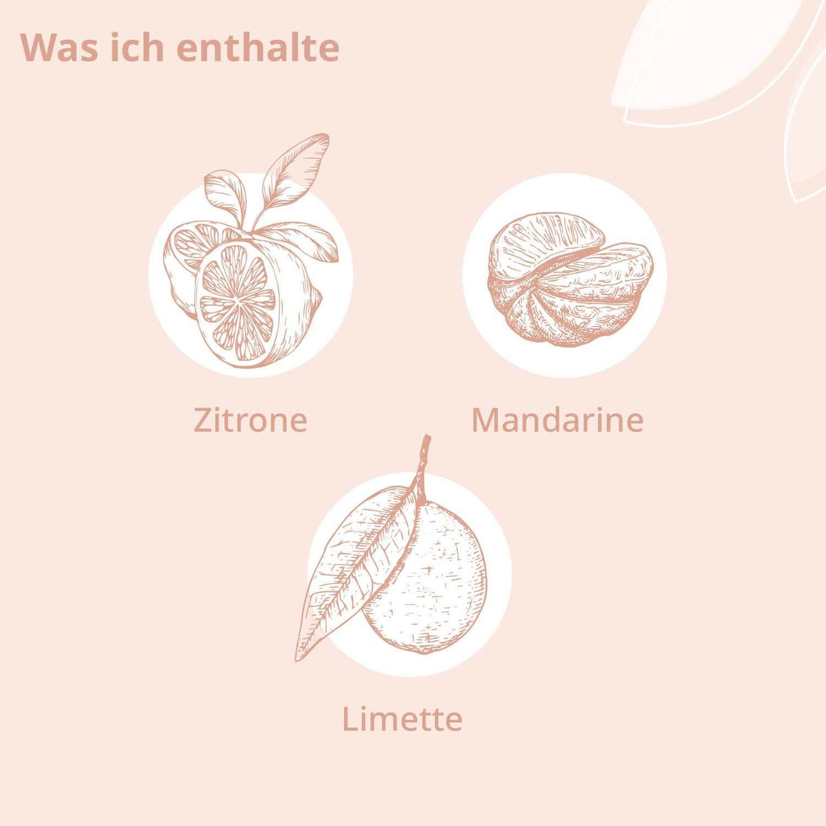 Bio - Fühl Dich Wohl Aroma Öl - Cellavent Healthcare