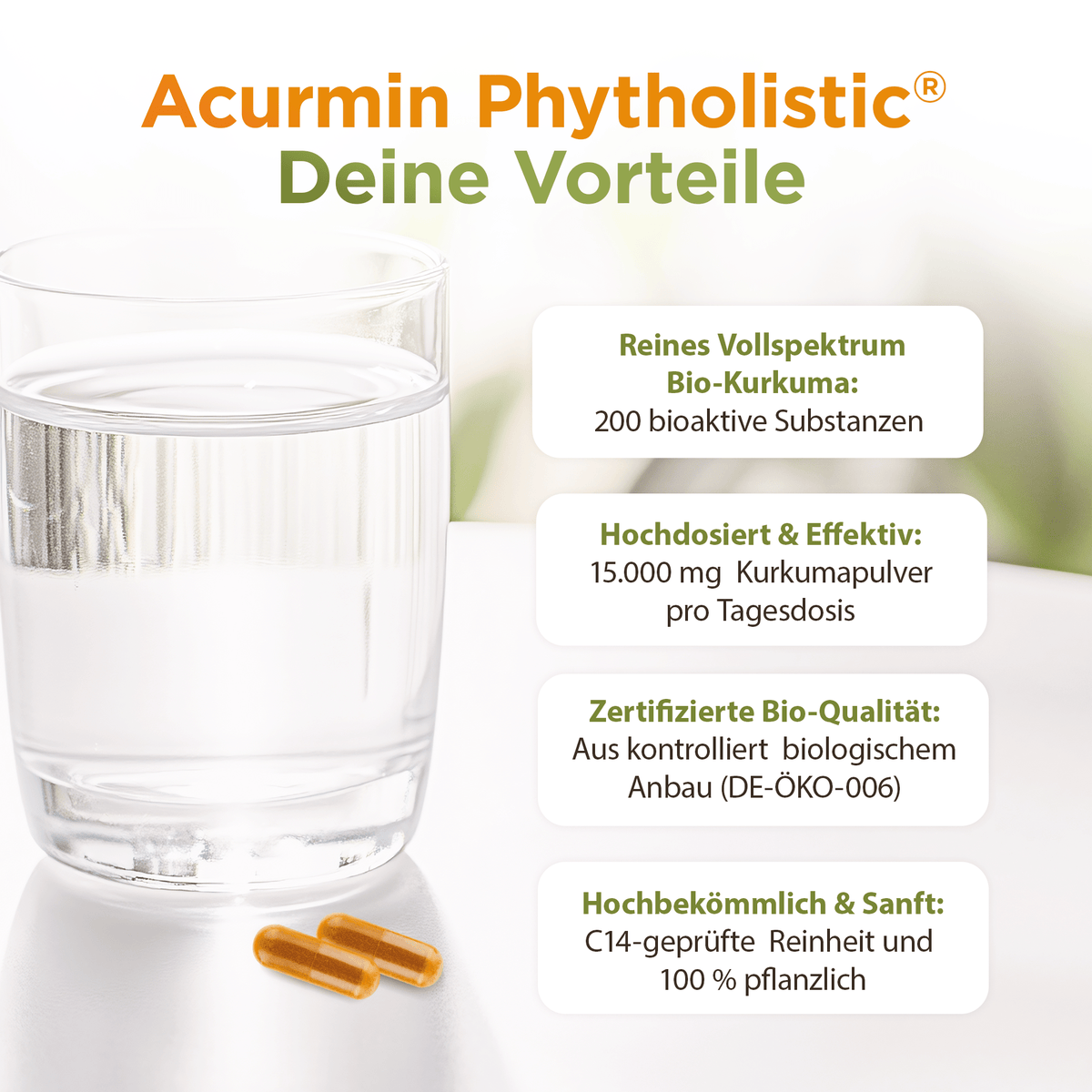 Bio Kurkuma Kapseln ohne Pfeffer – Acurmin Phytholistic - Cellavent Healthcare