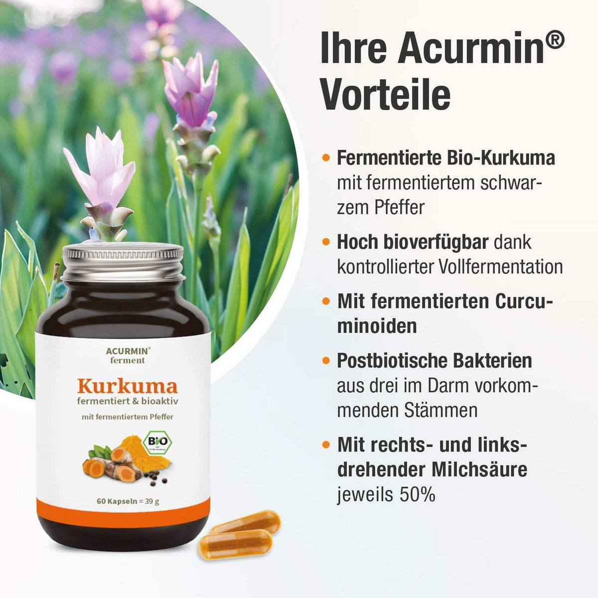 Bioaktive Kurkuma Kapseln – fermentiert & bio - zertifiziert – Acurmin ferment - Cellavent Healthcare
