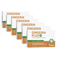 Bioaktiver Ingwer - Extrakt - Gingerin PLUS - Cellavent Healthcare