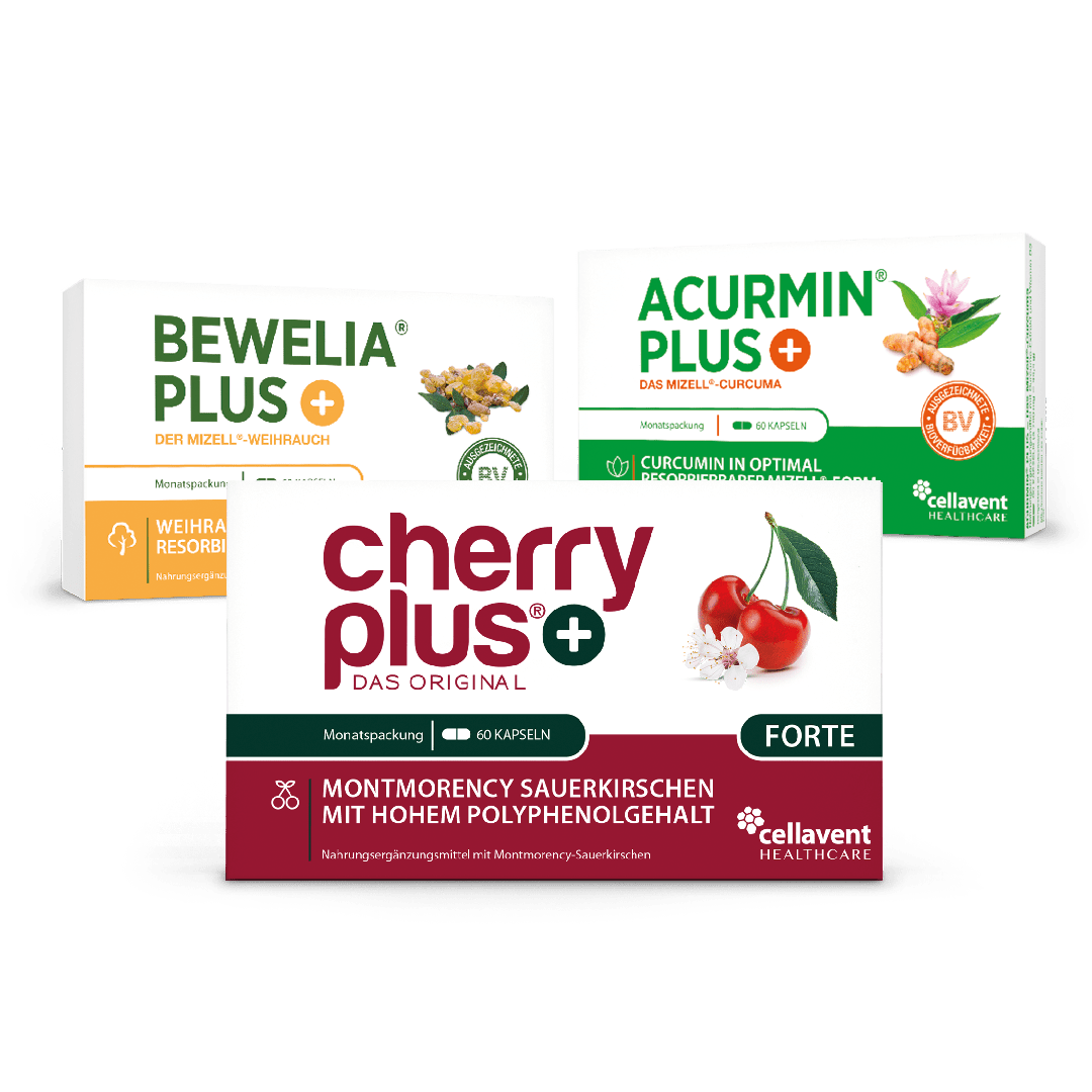Freude an Bewegung - Bundle - Cellavent Healthcare