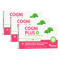 Ginkgo Kapseln mit Bacopa & Ginseng – Cogni PLUS - Cellavent Healthcare