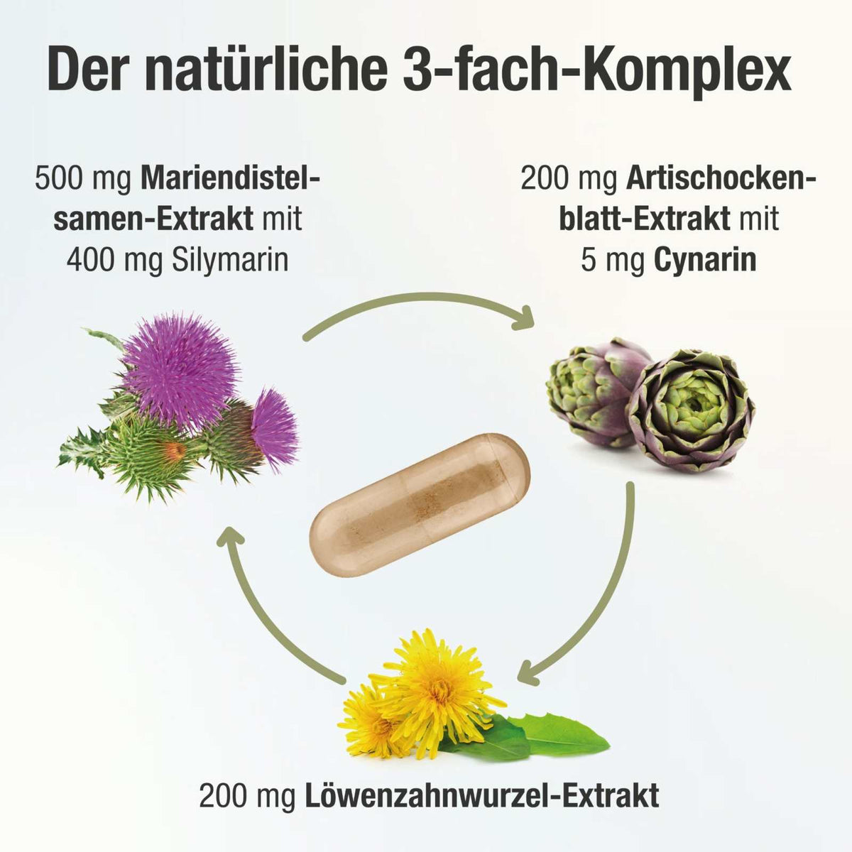 Leberkur Cholin Kapseln - Hepavent PLUS - Cellavent Healthcare