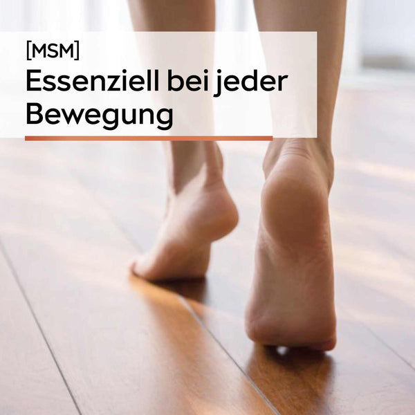 (Sonderposten) MSM Kapseln [Methylsulfonylmethan]
