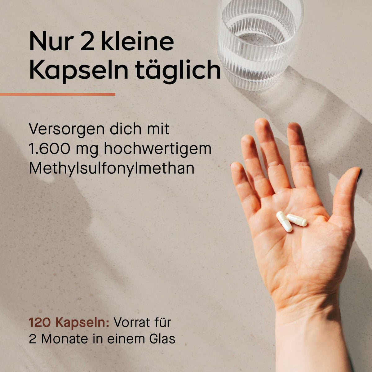 MSM Kapseln [Methylsulfonylmethan] - Cellavent essentials - Cellavent Healthcare