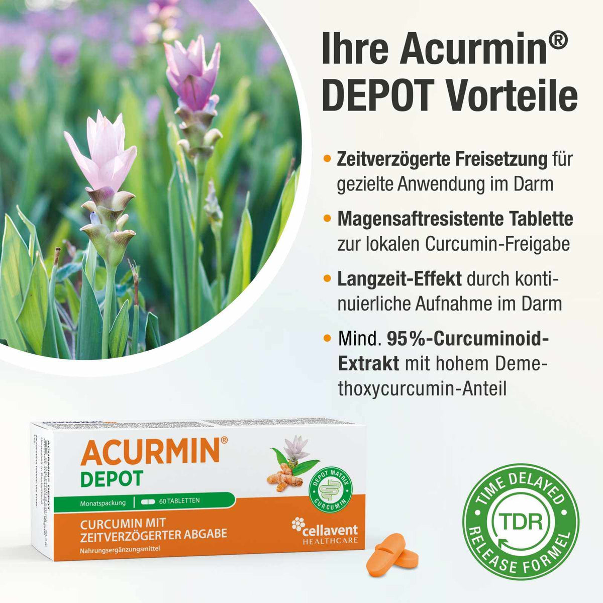 Sonderposten: Depot - Kurkuma Tabletten mit verzögerter Curcumin - Freisetzung – Acurmin DEPOT - Cellavent Healthcare