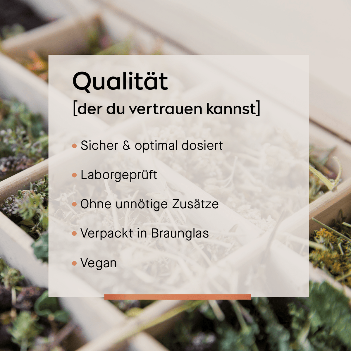 Vitamin C Kapseln [Hagebutten - Extrakt] - Cellavent essentials - Cellavent Healthcare