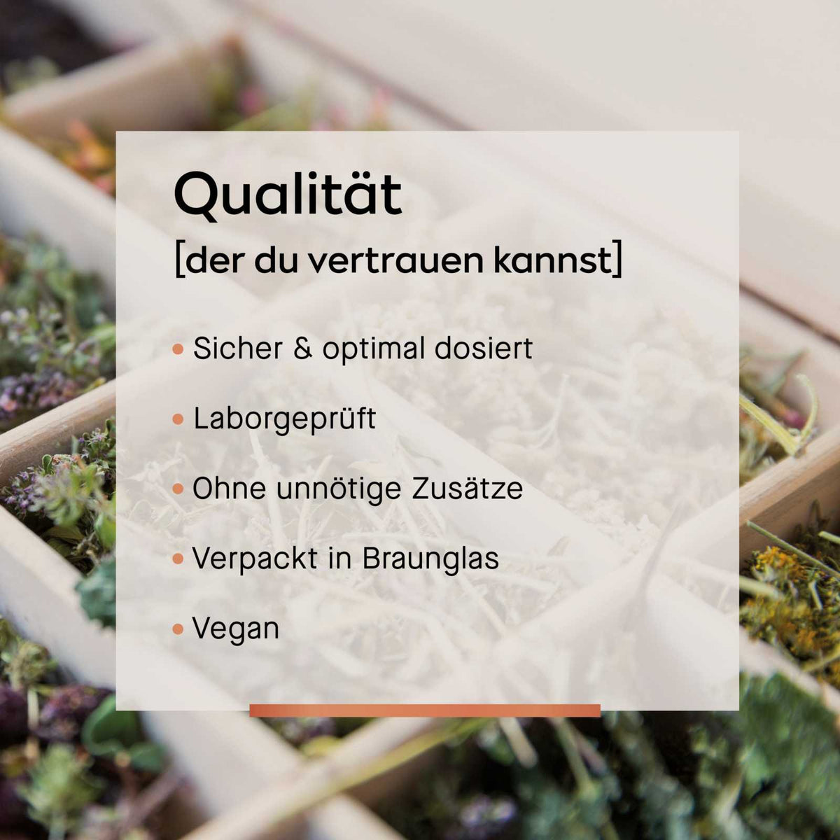 Zink Kapseln [Zink - Bisglycinat] | Cellavent essentials - Cellavent Healthcare