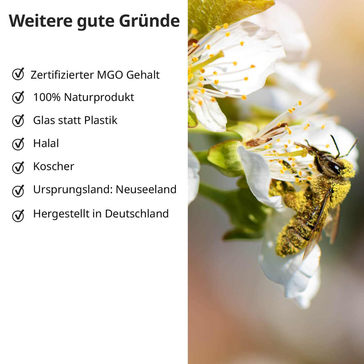 Manuka Honig für Kinder 200 MGO - Cellavent Healthcare